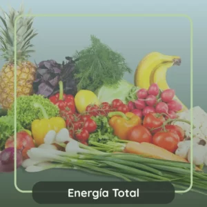 sueroterapia revitalizante