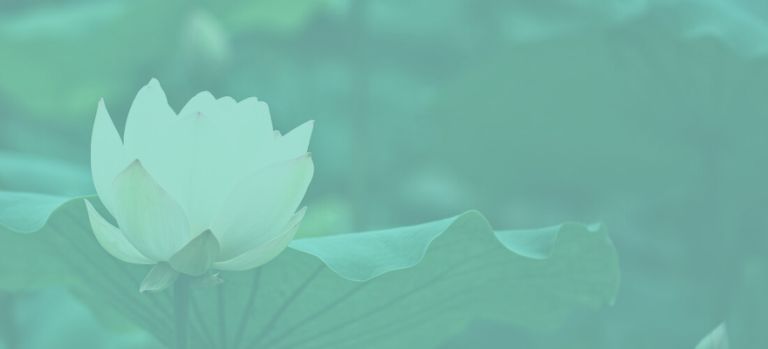 encabezado titulos website medicina integrativa particular